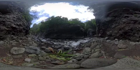 360° Panoramic View along a Small River in a Jungle Canyon, Réunion Island 스톡 동영상 317610822