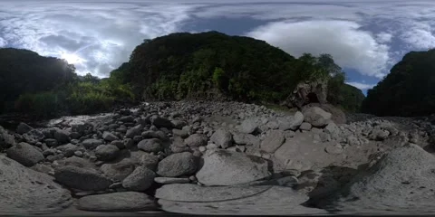 360° Panoramic View inside a Jungle Canyon with a Small River, Réunion Island 스톡 동영상 317610842