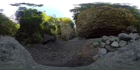 360° Panoramic View in a Lush Canyon Stream of Réunion Island 스톡 동영상 317610820