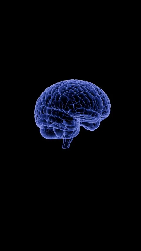 360 Rotating X-Ray Hologram Human Brain Medical Animation 4K 스톡 동영상 336859317