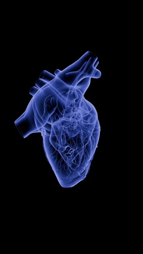 360 Rotating X-Ray Hologram Heart Anatomy Medical Animation 4K 動画素材 336859321