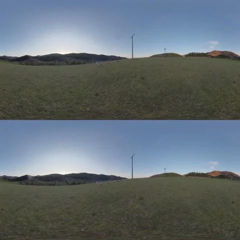 360° - Sheep on the pasture Stock Footage 139384615