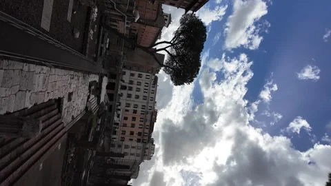 360 Spin Video of Largo di Torre Argentina Stock Footage 280009723