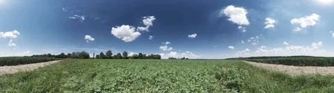 360° Timelaps Summer Sky Stock Footage 109500111