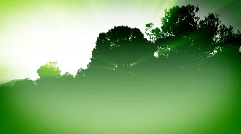 360 Trees bg sh lr Vidéo 644797