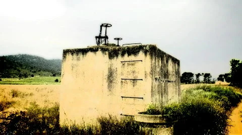 360 Trees lr Stock-Footage 644798