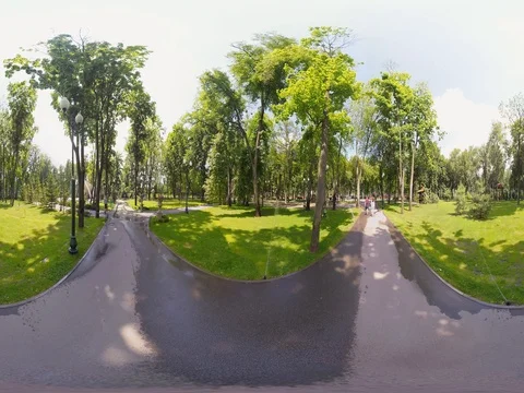 360 video panoramic view of squirrel in the park Stock Footage 76431498