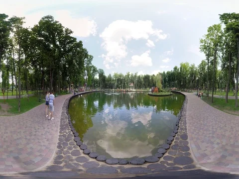 360 video panoramic view of white swans in the lake Stock Footage 76431473