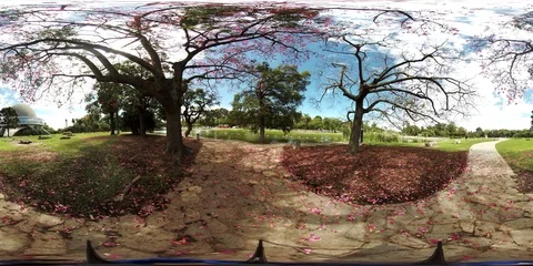 360 video of a park during fall Video stock 93995429
