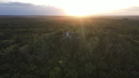 360 view of La Danta Pyramid, El Mirador, Guatemala4K 스톡 동영상 249108641