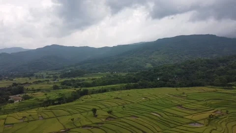 360 view from nature Stock Footage 170936178