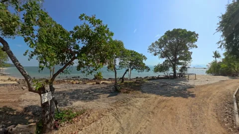 360 View Of Tropical Beach With Trees And Ocean Horizon Stock Footage 311869827