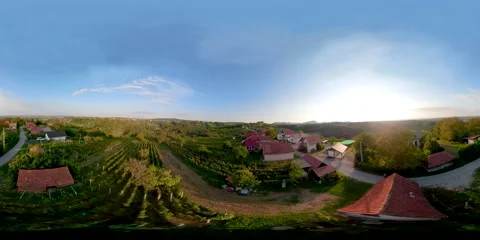 360 vineyards road 動画素材 141732940
