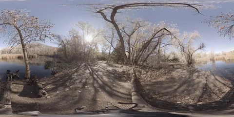 360 virtual reality view of a pond in the late Fall Stock Footage 69767832