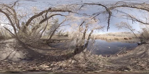 360 virtual reality view of a pond in the late Fall Stock Footage 69768033