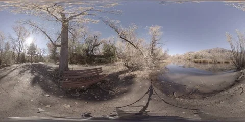 360 virtual reality view of a pond in the late Fall Stock Footage 69768662