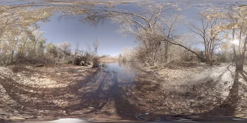 360 virtual reality view of a pond in the late Fall Stock Footage 69962965