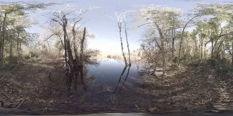 360 virtual reality view of a pond in the late Fall Stock Footage 69963069