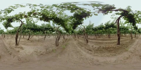 360 Vr Argentina Salta_2 Stock Footage 229283906