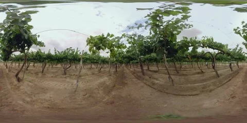 360 Vr Argentina Salta_7 Stock Footage 229285168
