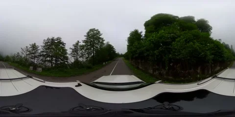 360 VR The car drives in the forest in cloudy weather Stock Footage 167285314