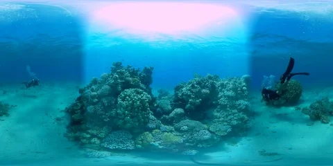 360 vr Coral Reef Stock Footage 78874438