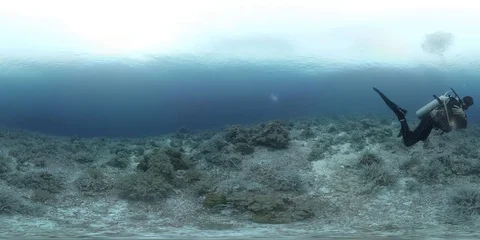 360 vr diver on a coral reef Vidéo 91663011