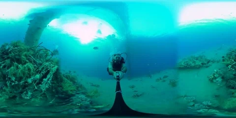 360 vr Diver Vidéo 78875609