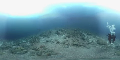 360 vr diver swims on a coral reef Stock Footage