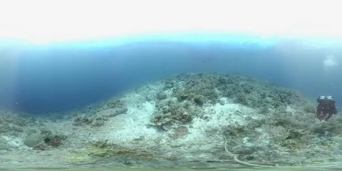 360 vr diver swims on the edge of a coral reef 8k footage Stock Footage 102341929