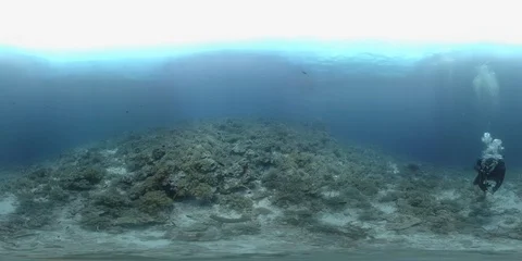 360 vr diver swims on the edge of a coral reef Stock Footage 102343476