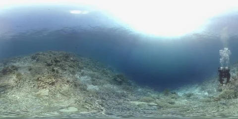 360 vr diver swims on the edge of a coral reef Stock Footage 102345467