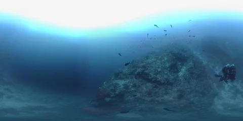 360 vr diver swims on the edge of a coral reef Vidéo 102353128
