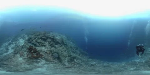 360 vr diver swims on the edge of a coral reef Stock Footage 102385576