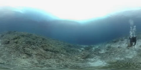 360 vr diver swims on the edge of a coral reef Stock Footage 102398698