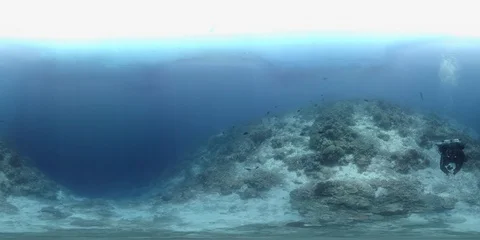 360 vr diver swims on the edge of a coral reef 8k footage Stock Footage 102402604
