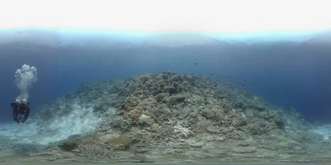 360 vr diver swims on the edge of a coral reef 8k footage Stock Footage 102411009