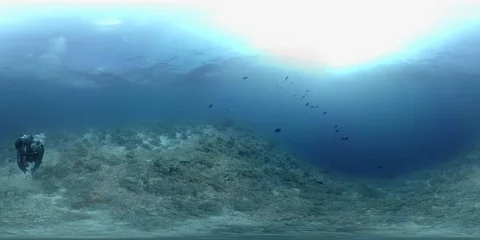 360 vr diver swims on the edge of a coral reef Stock Footage 102429090