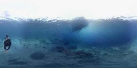 360 vr diving with whale shark Stock Footage 102140583