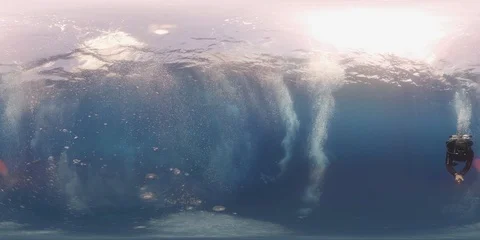 360 vr diving with whale shark 8k Vidéo 102241248