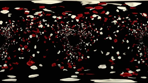 360 VR Flying Romantic red white rose Flower Petals Falling Alpha Channel Loop Stock Footage 96157663