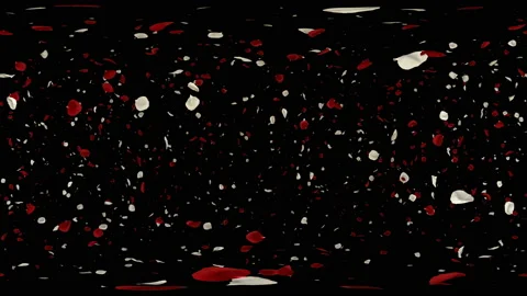 360 VR Flying Romantic red white rose Flower Petals Falling Alpha Channel Loop Stock Footage 96157695