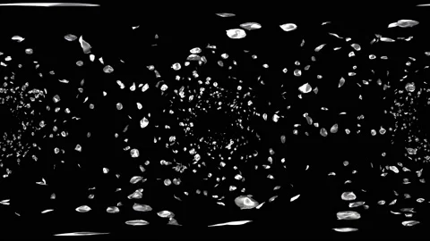360 VR Flying Romantic silver Flower Petals Falling Alpha Channel Loop Stock Footage 96161850