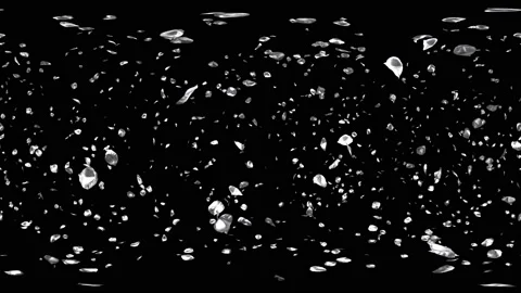 360 VR Flying Romantic silver Flower Petals Falling Alpha Channel Loop Stock Footage 97394000