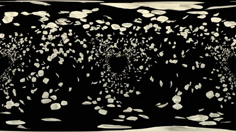360 VR Flying Romantic white rose Flower Petals Falling Alpha Channel Loop Vidéo 96163290