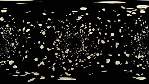 360 VR Flying Romantic white rose Flower Petals Falling Alpha Channel Loop Stock Footage 96163390