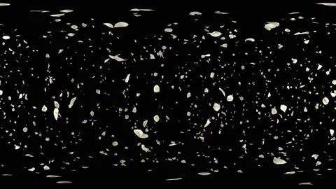 360 VR Flying Romantic white rose Flower Petals Falling Alpha Channel Loop Stock Footage 97394140