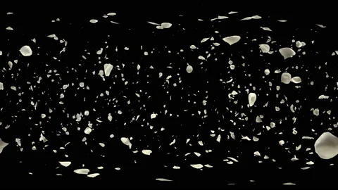 360 VR Flying Romantic white rose Flower Petals Falling Alpha Channel Loop Stock Footage 97415069