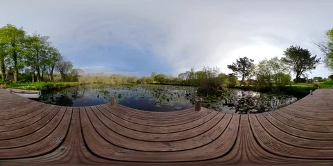 360 VR, Freshwater Pond Jetty During Summer Video stock 122169061