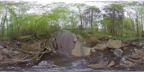 360 VR Garbage In Water Stream In Forest, Plastic and Beer Cans Stock Footage 133227039